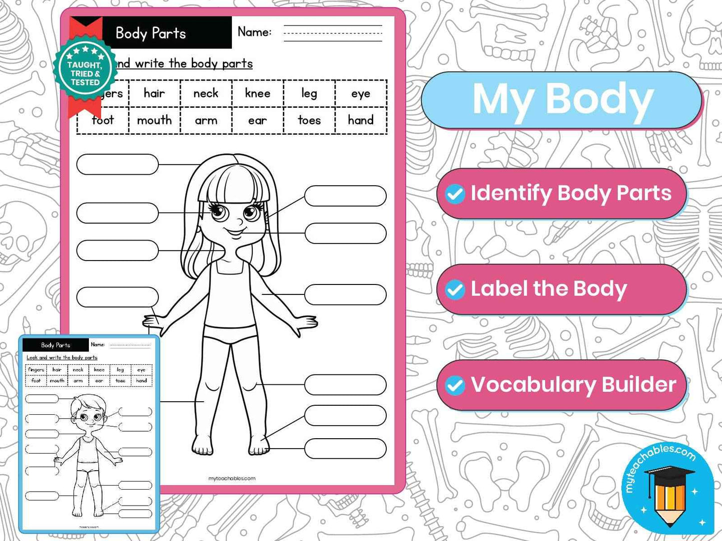 Body Parts Labeling Worksheet | Identify & Write Body Vocabulary