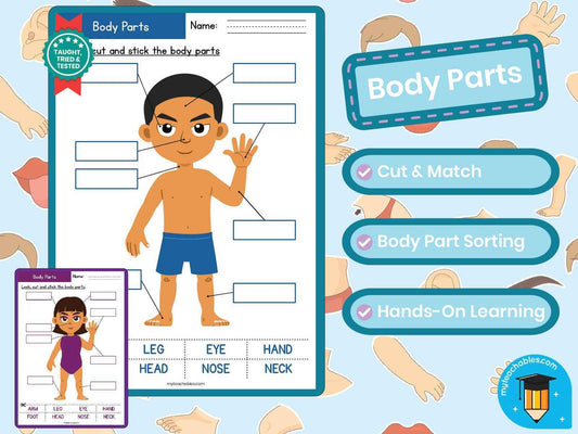 Body Parts Cut and Paste Worksheet | ESL Labeling Activity