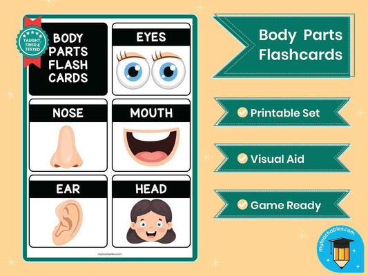 Body Parts Flashcards | ESL Vocabulary Cards for Kids